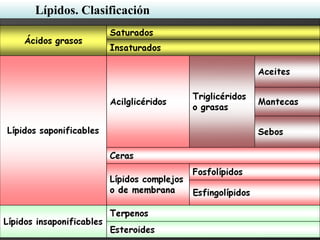 Lípidos. Clasificación
 