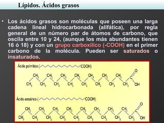 • Los ácidos grasos son moléculas que poseen una larga
cadena lineal hidrocarbonada (alifática), por regla
general de un número par de átomos de carbono, que
oscila entre 10 y 24, (aunque los más abundantes tienen
16 ó 18) y con un grupo carboxílico (-COOH) en el primer
carbono de la molécula. Pueden ser saturados o
insaturados.
Lípidos. Ácidos grasos
 