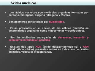 • Los ácidos nucleicos son moléculas orgánicas formadas por
carbono, hidrógeno, oxígeno nitrógeno y fósforo.
• Son polímeros constituidos por nucleótidos.
• Están presentes en el núcleo de las células (también en
determinados orgánulos como mitocondrias y cloroplastos).
• Son las moléculas encargadas de almacenar, transmitir y
expresar la información genética.
• Existen dos tipos ADN (ácido desoxirribonucleico) y ARN
(ácido ribonucleico), presentes ambos en toda clase de células
animales, vegetales o bacterianas.
Ácidos nucleicos
 