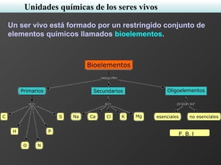Unidades químicas de los seres vivos
Un ser vivo está formado por un restringido conjunto de
elementos químicos llamados bioelementos.
F, B, I
 