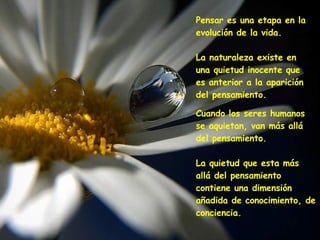 Pensar es una etapa en la evolución de la vida.   La naturaleza existe en una quietud inocente que es anterior a la aparición del pensamiento. Cuando los seres humanos se aquietan, van más allá del pensamiento.   La quietud que esta más allá del pensamiento contiene una dimensión añadida de conocimiento, de conciencia.   