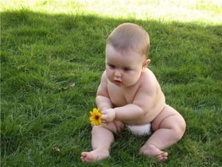 Naturaleza pressentacion