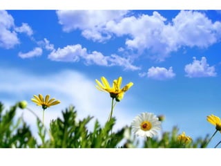 Naturaleza pressentacion