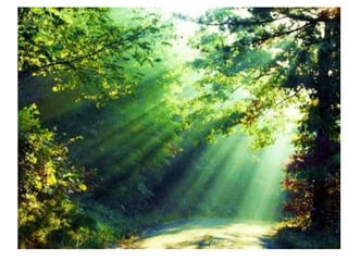 Naturaleza pressentacion