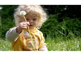 Naturaleza pressentacion