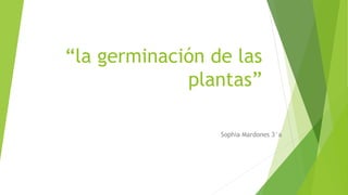 “la germinación de las
plantas”
Sophia Mardones 3°a
 