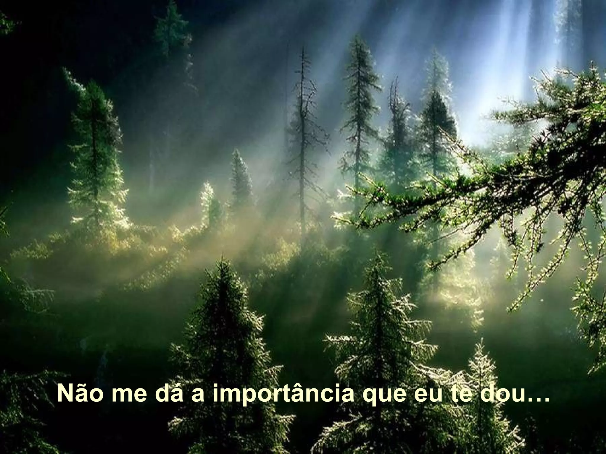 Não me dá a importância que eu te dou…