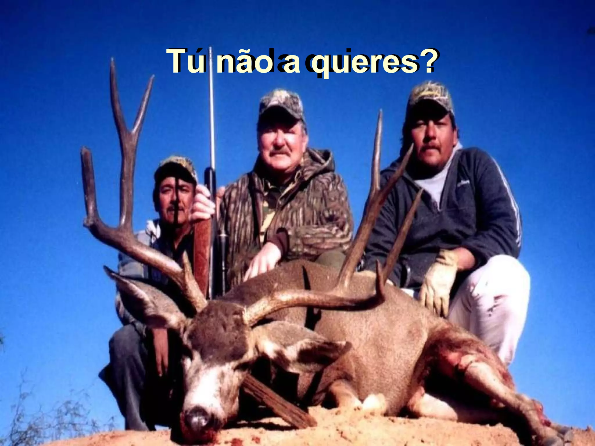 Tú no la quieres? Tu não a queres?