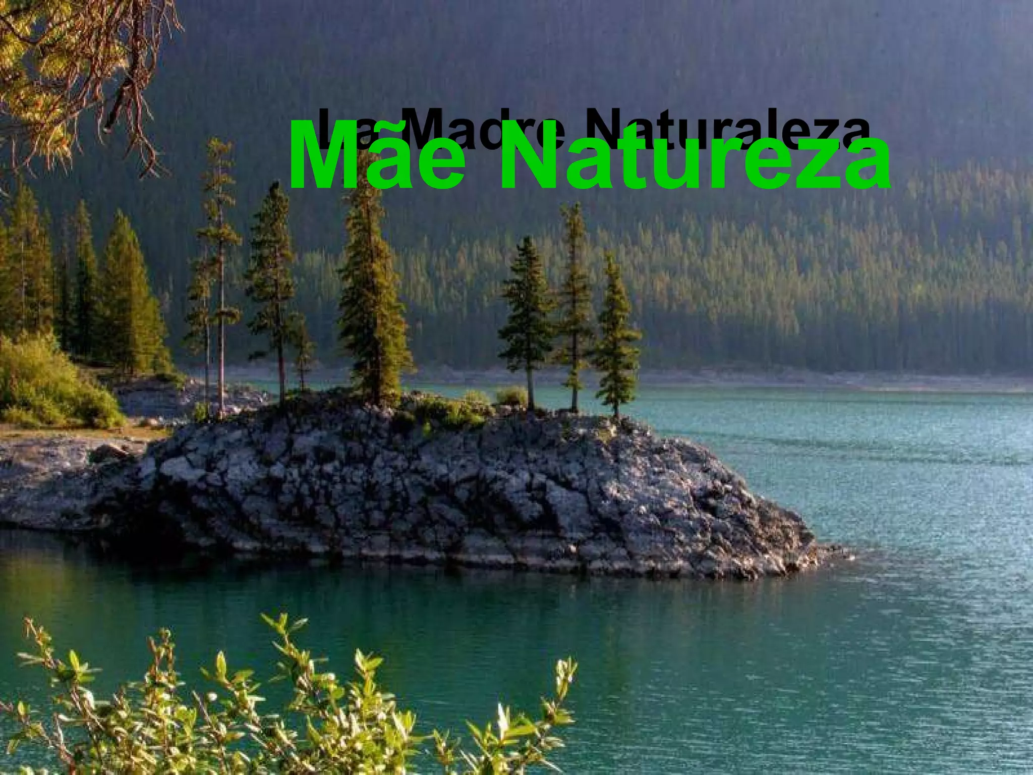 La Madre Naturaleza Mãe Natureza