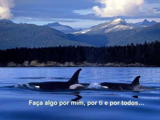Faça algo por mim, por ti e por todos… 