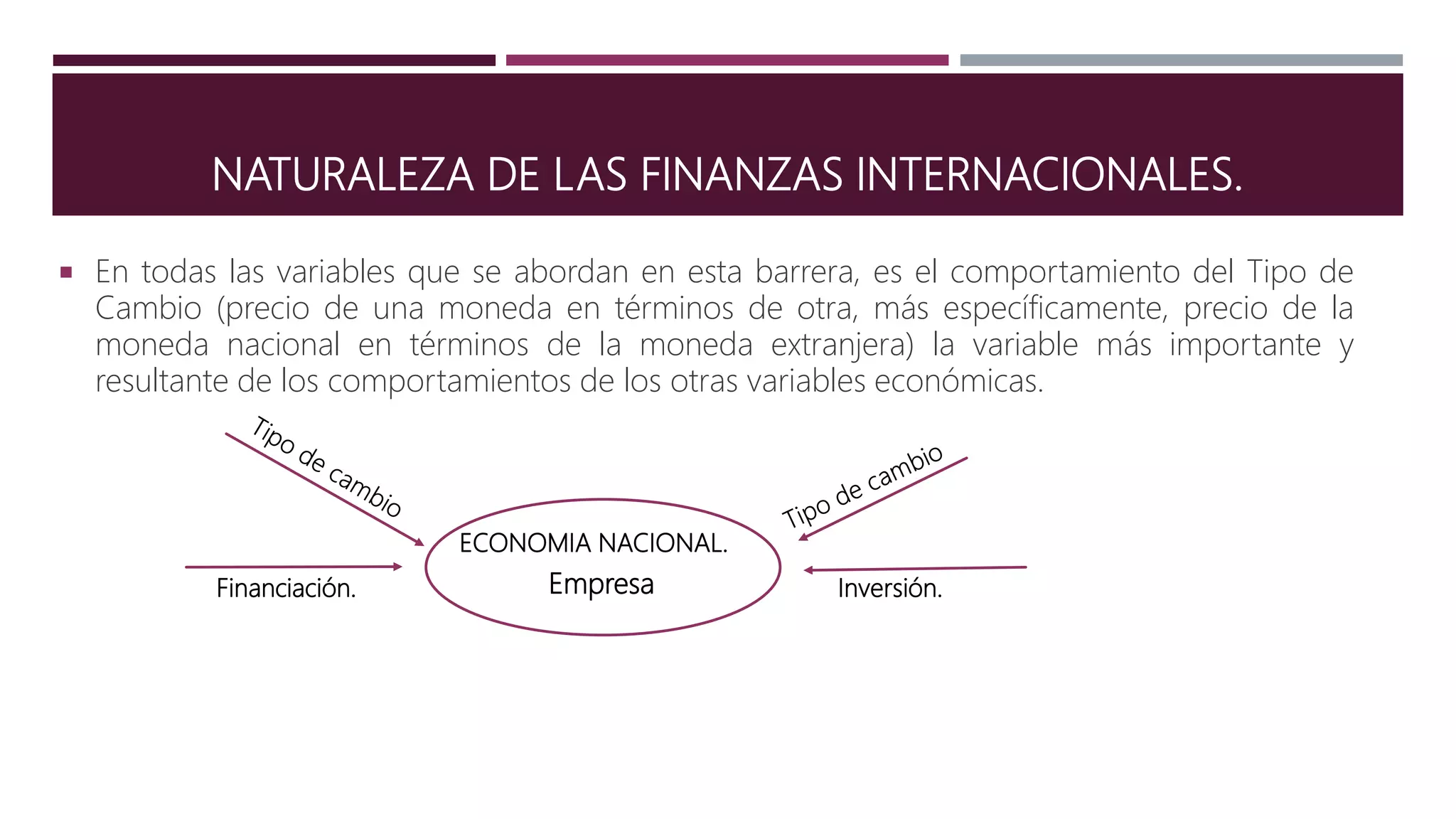 Naturaleza de las finanzas internacionales | PPTX