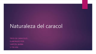 Naturaleza del caracol
TIPOS DE CARACOLES…
ELABORADO POR:
YARITZEL BARBA
1-730-456.
 