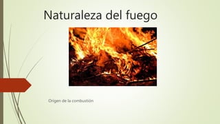 Naturaleza del fuego
Origen de la combustión
 