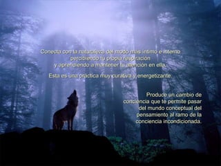 Conecta con la naturaleza del modo más íntimo e interno percibiendo tu propia respiración y aprendiendo a mantener tu atención en ella. Esta es una práctica muy curativa y energetizante. Produce un cambio de conciencia que te permite pasar del mundo conceptual del pensamiento al ramo de la conciencia incondicionada. 