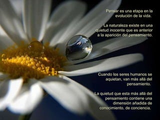Pensar es una etapa en la evolución de la vida.  La naturaleza existe en una quietud inocente que es anterior a la aparición del pensamiento. Cuando los seres humanos se aquietan, van más allá del pensamiento.  La quietud que esta más allá del pensamiento contiene una dimensión añadida de conocimiento, de conciencia.  