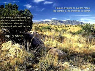 Hemos olvidado lo que las rocas,  las plantas y los animales ya saben. Nos hemos olvidado de ser:  de ser nosotros mismos,  de estar en silencio,  de estar donde está la vida:   Aquí y Ahora. 