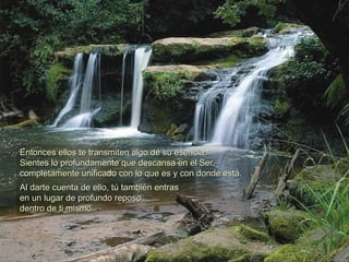 Al darte cuenta de ello, tú también entras  en un lugar de profundo reposo dentro de ti mismo. Entonces ellos te transmiten algo de su esencia.  Sientes lo profundamente que descansa en el Ser,  completamente unificado con lo que es y con donde está.  