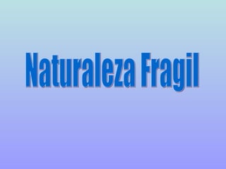 Naturaleza fragil