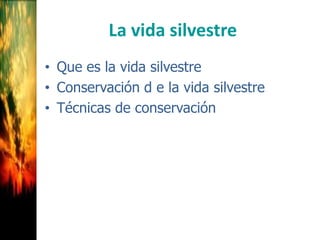 La vida silvestre
• Que es la vida silvestre
• Conservación d e la vida silvestre
• Técnicas de conservación
 
