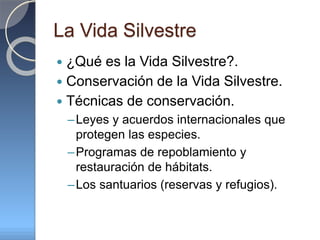La Vida Silvestre
 ¿Qué es la Vida Silvestre?.
 Conservación de la Vida Silvestre.
 Técnicas de conservación.
–Leyes y acuerdos internacionales que
protegen las especies.
–Programas de repoblamiento y
restauración de hábitats.
–Los santuarios (reservas y refugios).
 