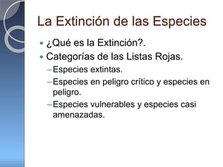 La Extinción de las Especies
 ¿Qué es la Extinción?.
 Categorías de las Listas Rojas.
–Especies extintas.
–Especies en peligro crítico y especies en
peligro.
–Especies vulnerables y especies casi
amenazadas.
 
