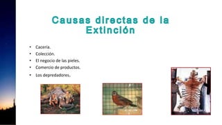 • Cacería.
• Colección.
• El negocio de las pieles.
• Comercio de productos.
• Los depredadores.
 