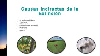 • La pérdida del hábitat.
• Agricultura.
• Contaminación ambiental.
• Desarrollo.
• Guerra.
 