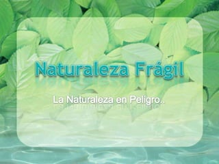 Naturaleza Frágil La Naturaleza en Peligro.. 