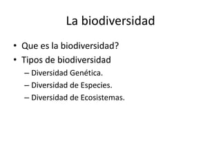 La biodiversidad
• Que es la biodiversidad?
• Tipos de biodiversidad
– Diversidad Genética.
– Diversidad de Especies.
– Diversidad de Ecosistemas.