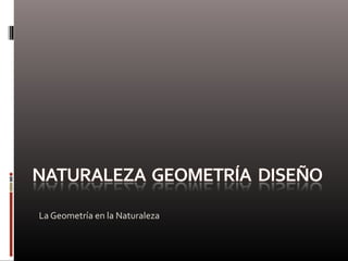 La Geometría en la Naturaleza
 