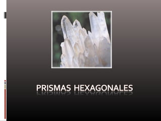 Naturaleza  geometría  diseño