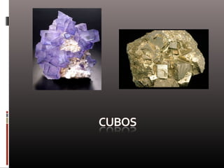 Naturaleza  geometría  diseño