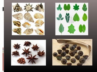 Naturaleza  geometría  diseño