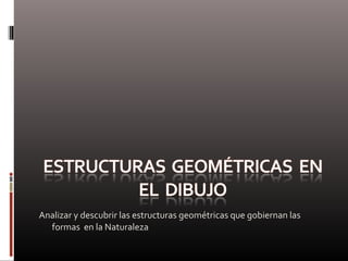Analizar y descubrir las estructuras geométricas que gobiernan las
formas en la Naturaleza
 