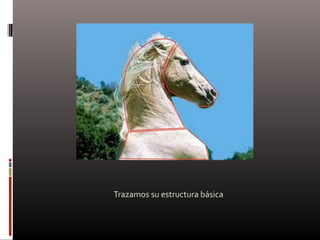 Trazamos su estructura básica
 