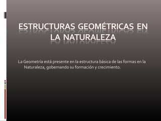 La Geometría está presente en la estructura básica de las formas en la
Naturaleza, gobernando su formación y crecimiento.
 