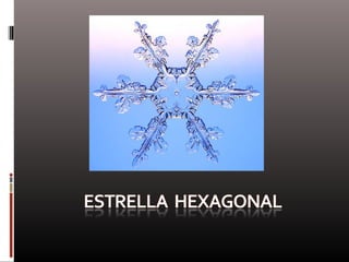 Naturaleza  geometría  diseño