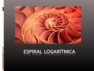 Naturaleza  geometría  diseño