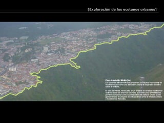 [Exploración de los ecotonos urbanos]




Red de espacios públicos de Mérida. Seminario-Taller. Universidad de Los Andes. Mérida. 2002
 
