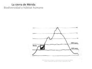 La sierra de Mérida
Biodiversidad y hábitat humano




                             Perfil Ande pisos ecológicos y asentamiento microrregión de Mérida.
                                   Fuente: elaboración del autor en base a Monasterio 1980.
 