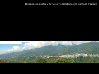 [Espacios rupícolas y fluviales y ecosistemas de montaña tropical]




   Delimitación natural de ámbitos urbanos. Fuente: elaboración del autor en base al POU.
 