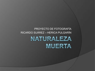 NATURALEZA MUERTA PROYECTO DE FOTOGRAFÍA RICARDO SUÁREZ – HERICA PULGARÍN 