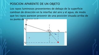 POSICION APARENTE DE UN OBJETO
Los rayos luminosos provenientes de debajo de la superficie
cambian de dirección en la interfaz del aire y el agua, de modo
que los rayos parecen provenir de una posición situada arriba de
su punto de origen real
 