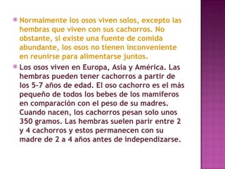 Normalmente los osos viven solos, excepto las hembras que viven con sus cachorros. No obstante, si existe una fuente de comida abundante, los osos no tienen inconveniente en reunirse para alimentarse juntos. Los osos viven en Europa, Asia y América. Las hembras pueden tener cachorros a partir de los 5-7 años de edad. El oso cachorro es el más pequeño de todos los bebes de los mamíferos en comparación con el peso de su madres. Cuando nacen, los cachorros pesan solo unos 350 gramos. Las hembras suelen parir entre 2 y 4 cachorros y estos permanecen con su madre de 2 a 4 años antes de independizarse.  