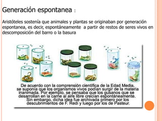 Generación espontanea :Aristóteles sostenía que animales y plantas se originaban por generación espontanea, es decir, espontáneamente  a partir de restos de seres vivos en descomposición del barro o la basura