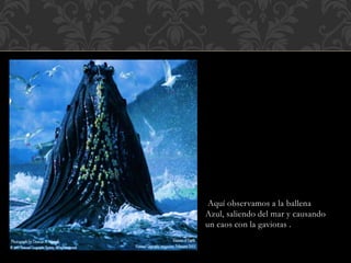 Aquí observamos a la ballena
Azul, saliendo del mar y causando
un caos con la gaviotas .
 
