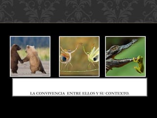 LA CONVIVENCIA ENTRE ELLOS Y SU CONTEXTO.
 