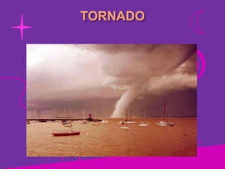 TORNADO