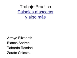 Trabajo Práctico
Paisajes mascotas
y algo más
Arroyo Elizabeth
Blanco Andrea
Taborda Romina
Zarate Celeste
 