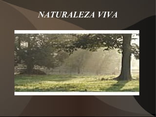 NATURALEZA VIVA

 